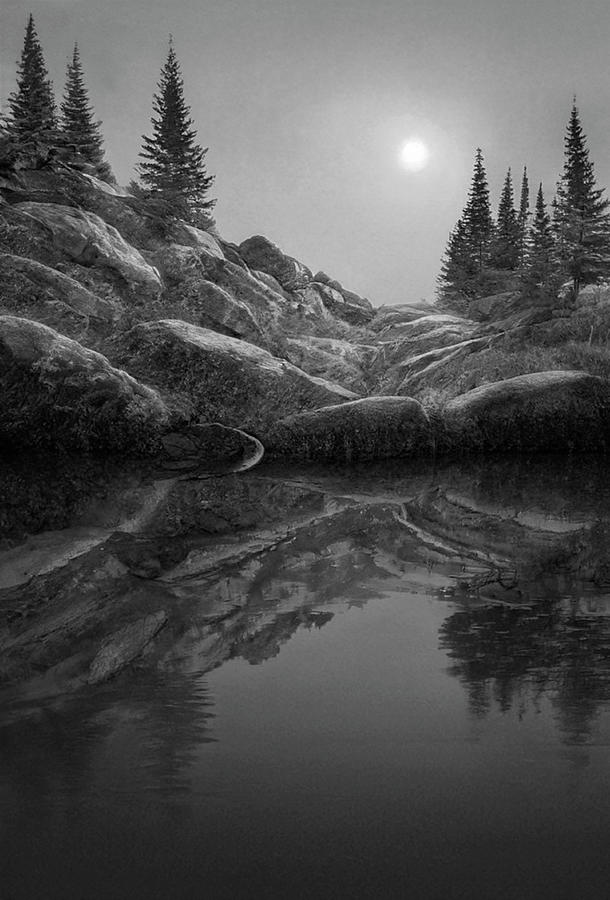 Sunset Spruces Reflections BW Photograph by Frank Wilson