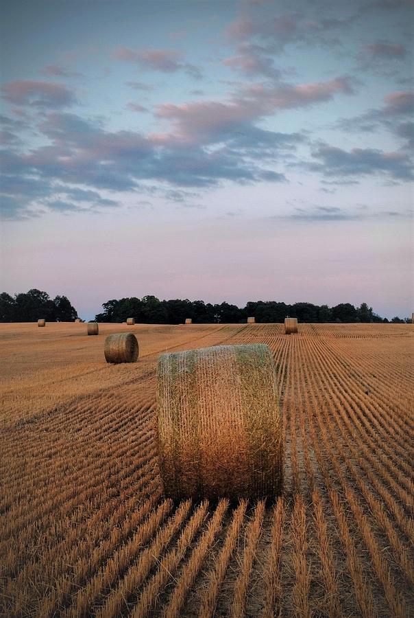 Sunset Straw Bales Photograph by Glen Robertson - Fine Art America