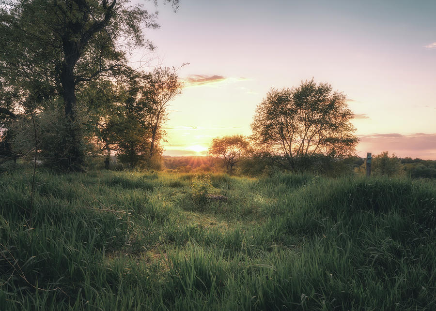 Sunset Through the Grassy Meadows Photograph by Jason Fink