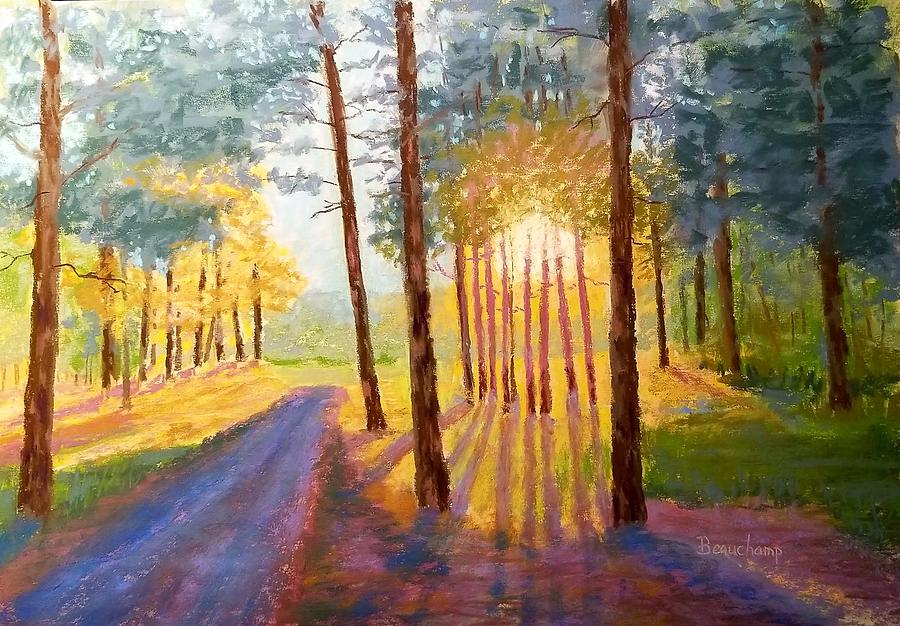 Sunset Through the Pines Pastel by Nancy Beauchamp