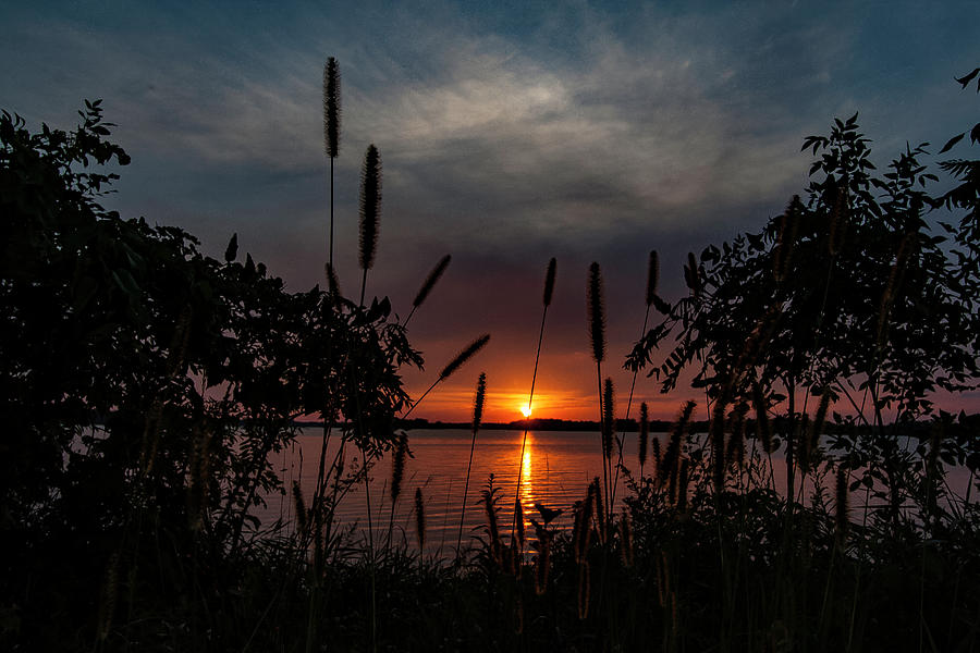 Sunset Through the Rye Photograph by Neal Nealis