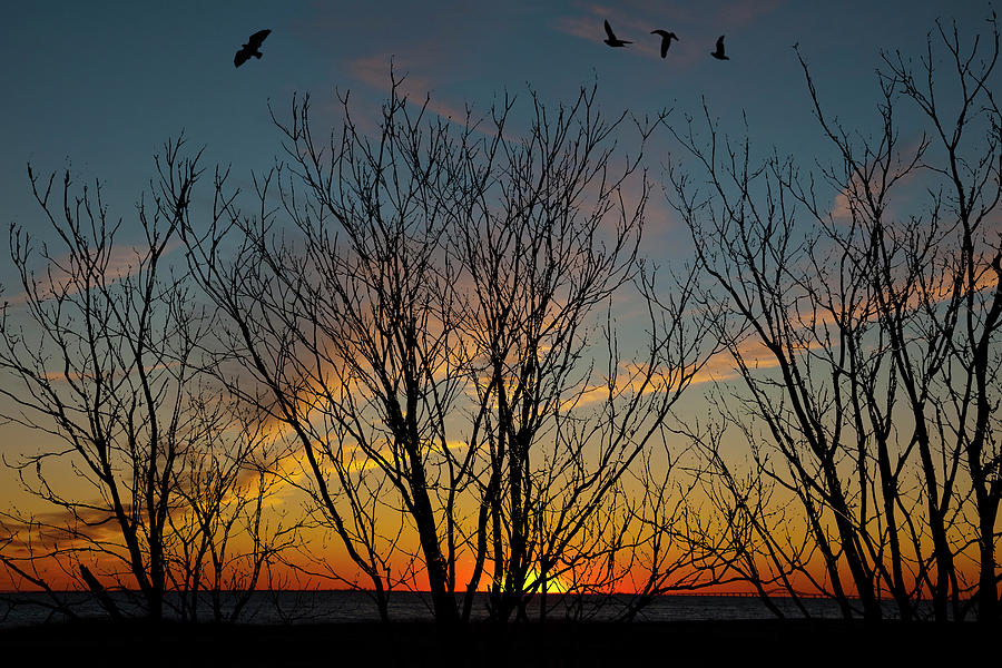 Sunset Through The Trees Photograph by Cathy Kovarik