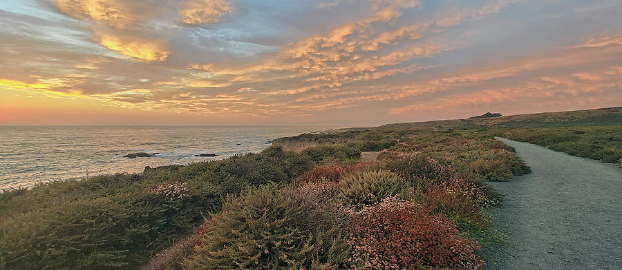 Sunset trail at Montana de Oro Photograph by Michael Rock