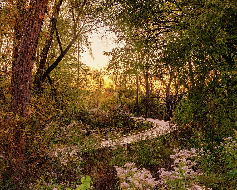 Sunset Trail In Osage Park - Bentonville Arkansas Photograph by Gregory Ballos