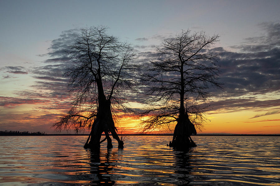 Sunset Twins Photograph by Alan Raasch