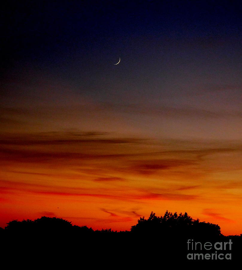 Sunset w/ Moon October 11, 2020 Photograph by Mark Gilman