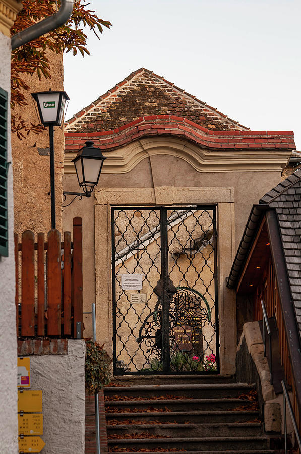 Sunset Walks In Durnstein. Forged Gates Photograph by Jenny Rainbow