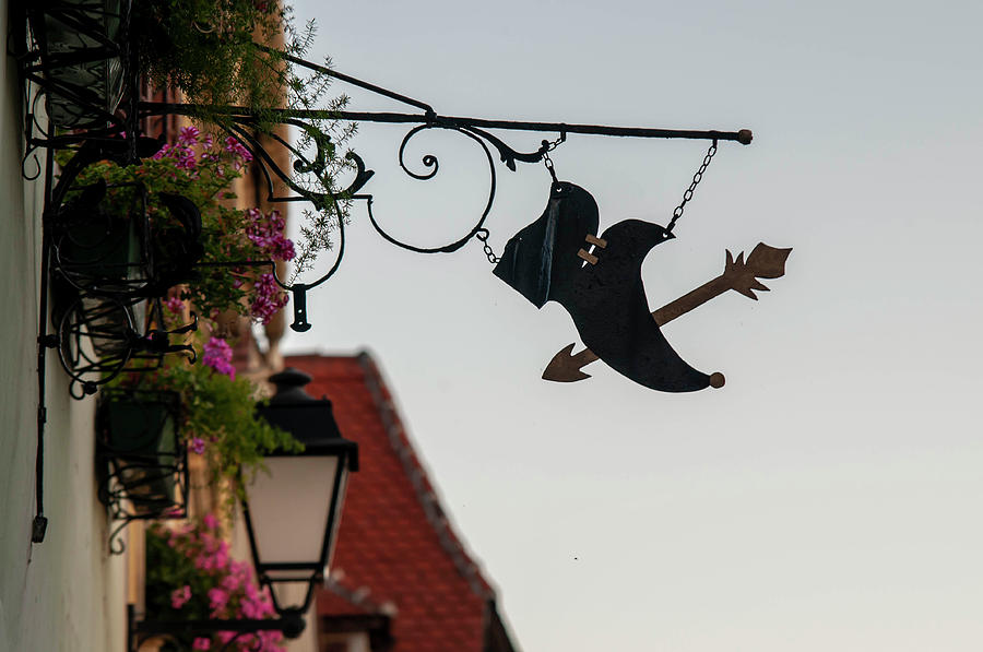 Sunset Walks In Durnstein. Forged Sign with Shoe Photograph by Jenny Rainbow