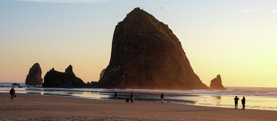 Oregon Coast Photograph - Sunset Watching At Cannon Beach by Doug Ash