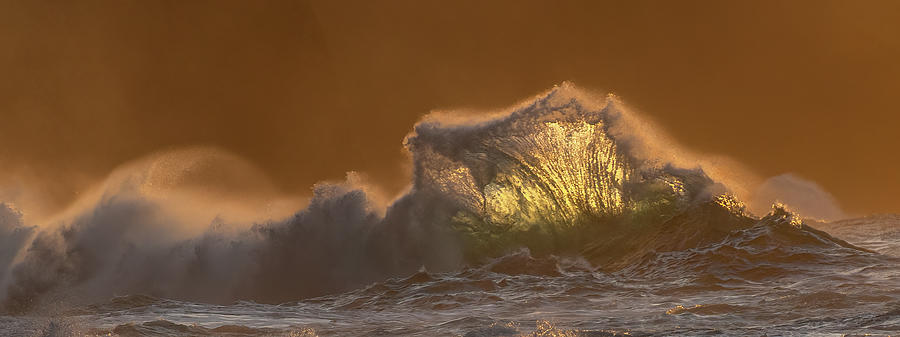 Sunset Wave VI Photograph by Doug Davidson
