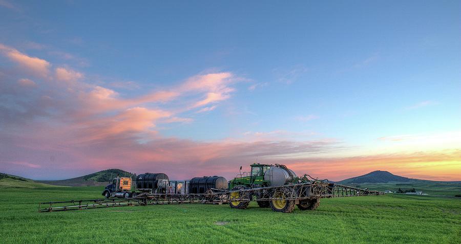 Sunset Weed Control Photograph by Doug Davidson