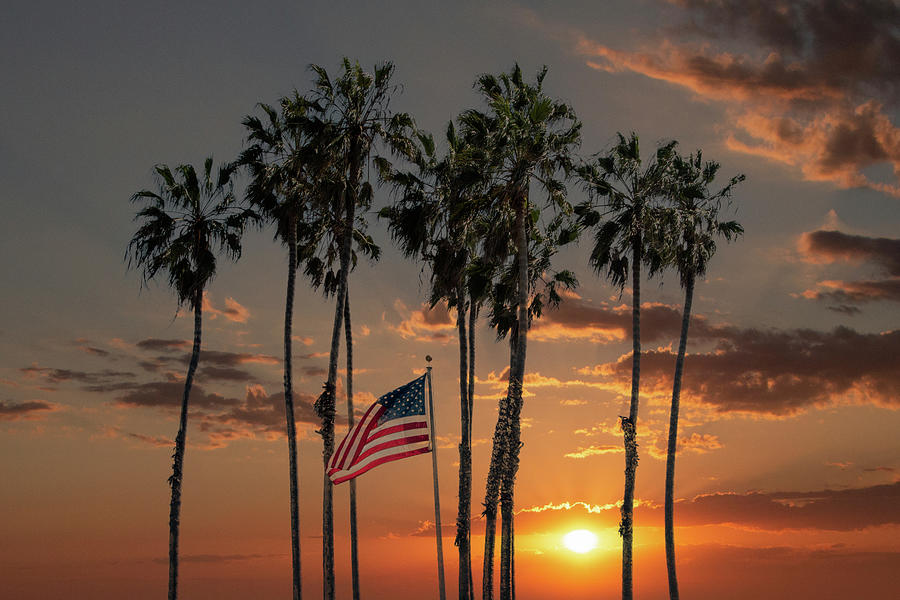 Sunset with American Flag and Palm Trees Photograph by Randall Nyhof