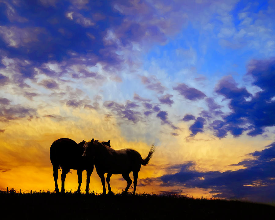 Sunset With Horses Photograph by Ann Powell
