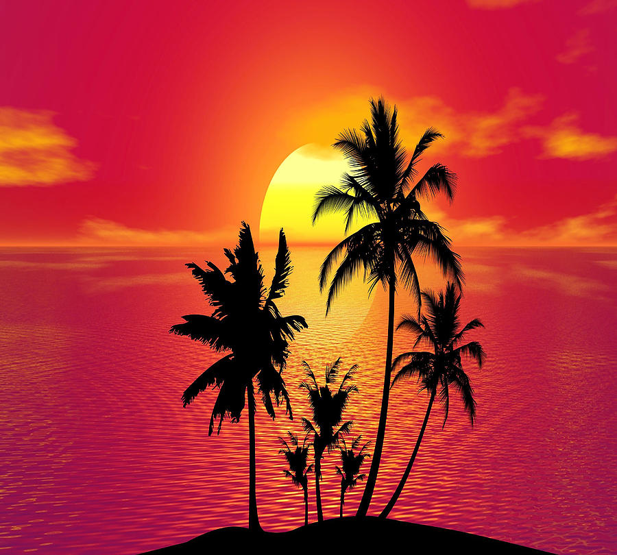 Sunset With Palm and Sea Pyrography by Yassir Kaddouri - Fine Art America