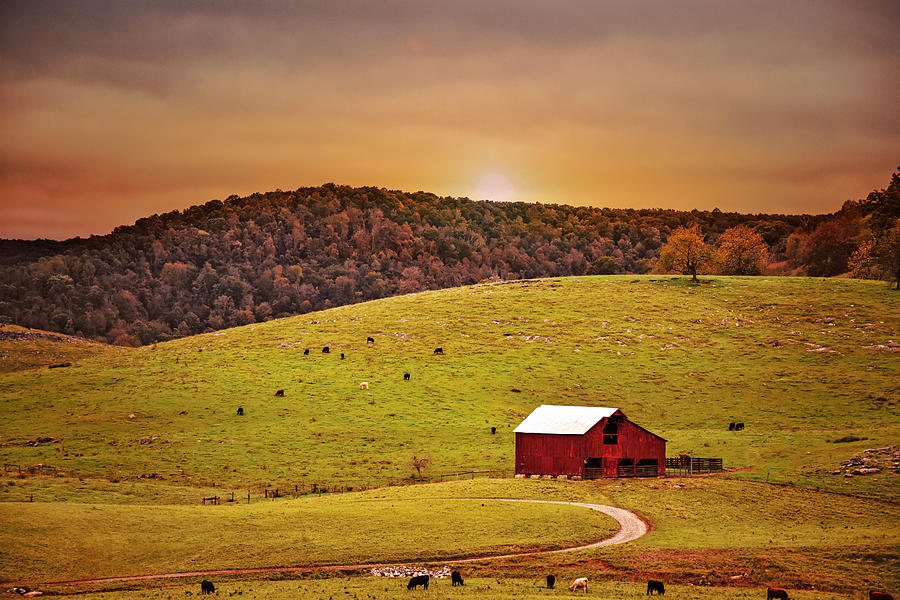 Sunsets on the Farm Photograph by Lisa Lambert-Shank