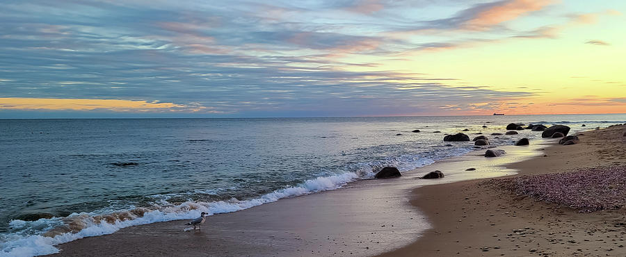 Sunsets Shorelines and Seashells Photograph by Christina McGoran
