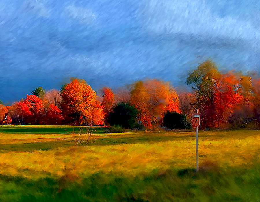 Sunsetting Fall Photograph by Ali Bailey Sunsetting Fall Photograph by Ali Bailey