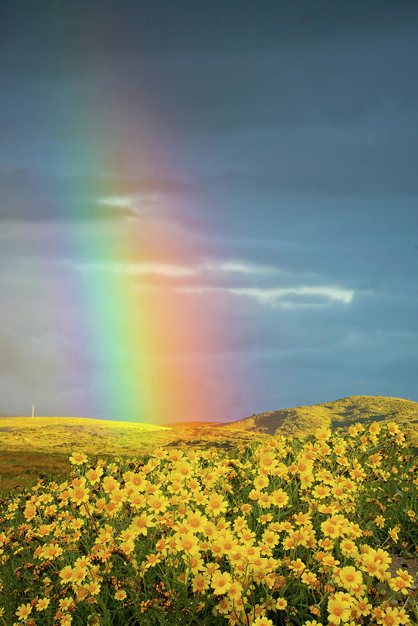 Sunshine and Rainbows on the Carrizo Photograph by Lynn Bauer