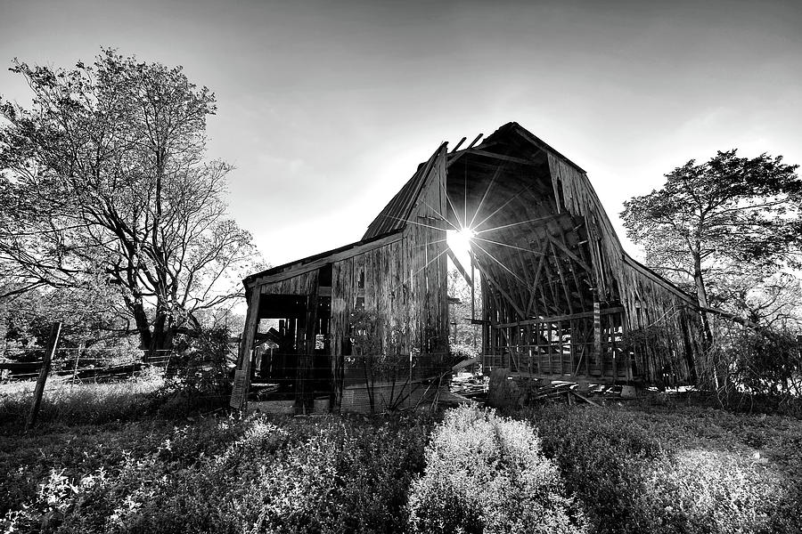 Sunshine Barn  Photograph by William Rainey