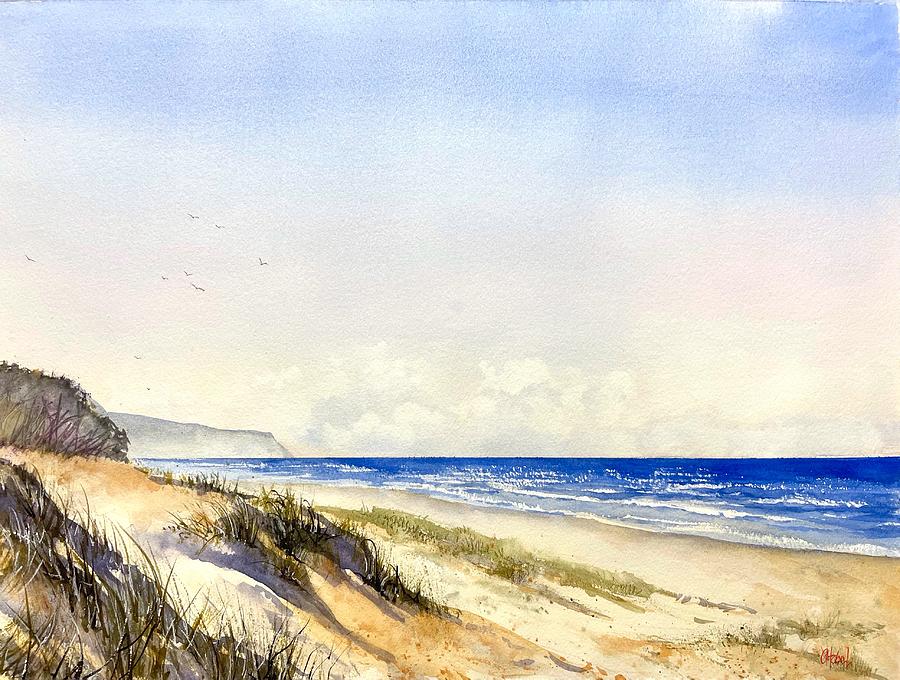 Sunshine Beach Noosa Heads qld  Australia  Painting by Chris Hobel
