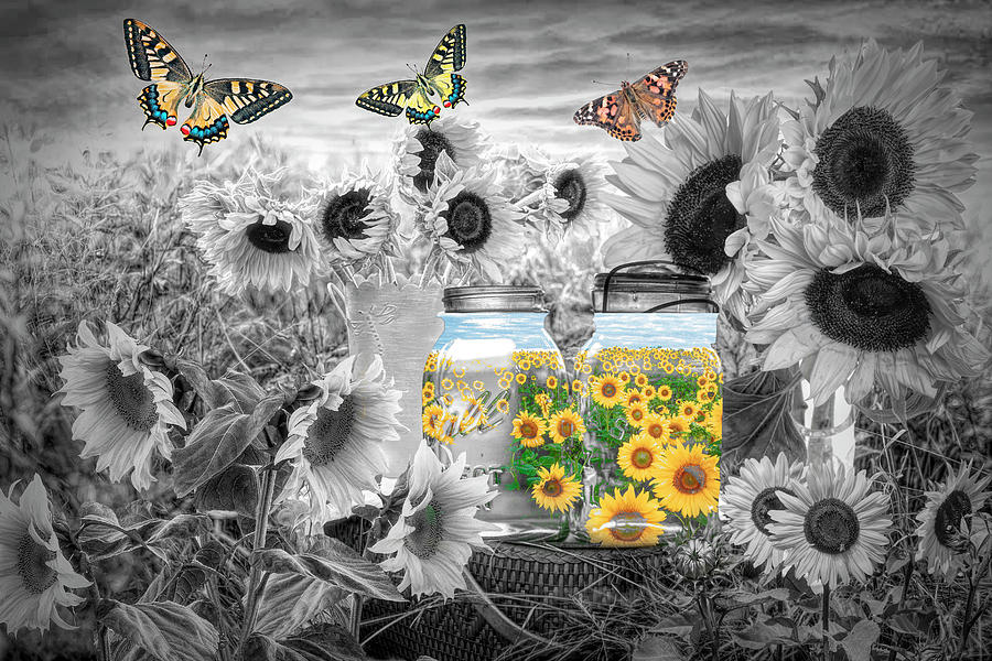 Sunshine in a Jar Black and White  Photograph by Debra and Dave Vanderlaan