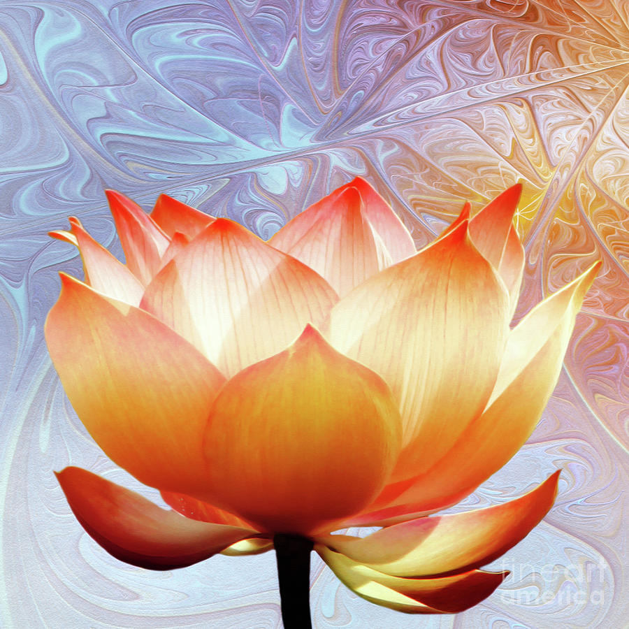 Sunshine Lotus Digital Art by Jacky Gerritsen