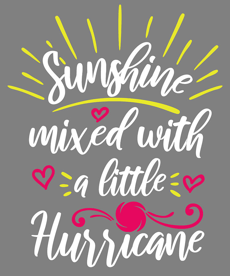 Sunshine Mixed With A Little Hurricane Baby Farmhouse Pine Wood Framed Canvas Sign