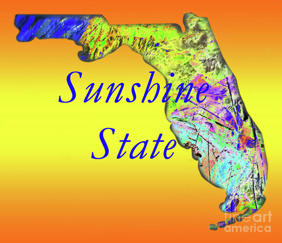 Sunshine State Mixed Media by Sharon Williams Eng