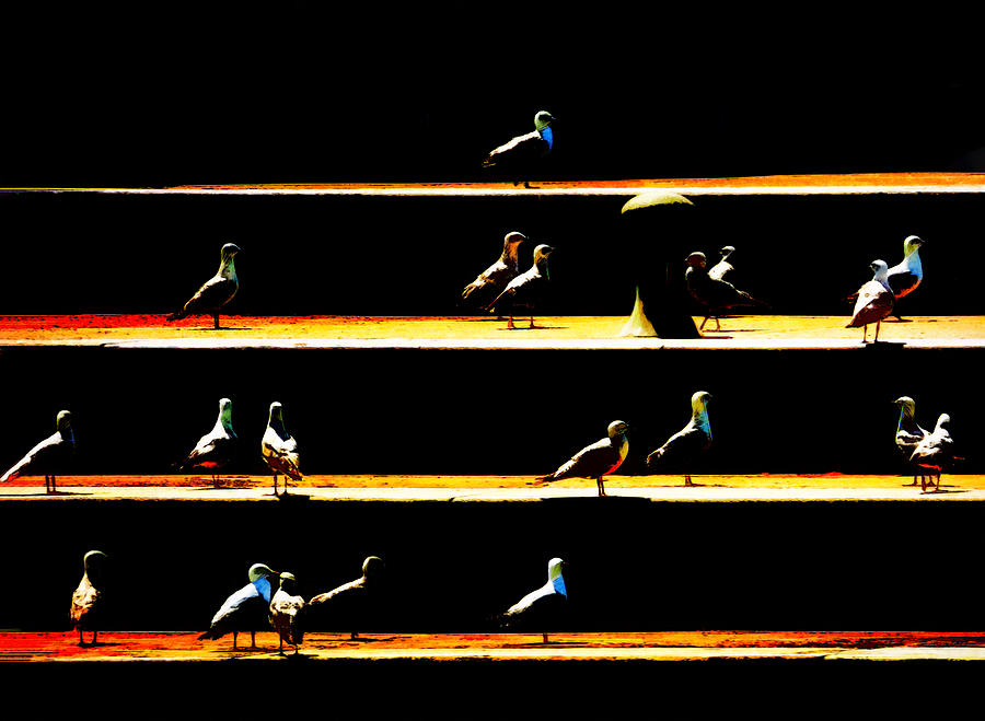 Sunshine, Steps and Seagulls Digital Art by Steve Taylor