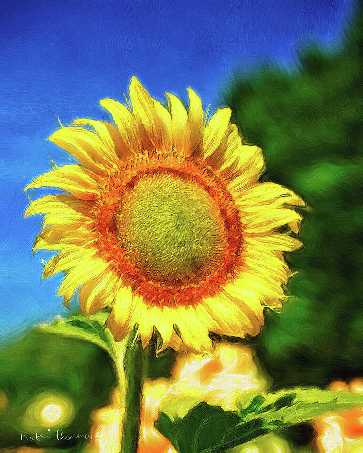 Sunshine Sunflower Photograph by Kathi Isserman