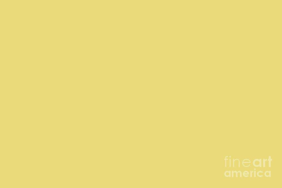 Sunshine Yellow Solid Color Accent Shade Pairs Sherwin Williams Daffodil SW 6901 Digital Art by PIPA Fine Art - Simply Solid