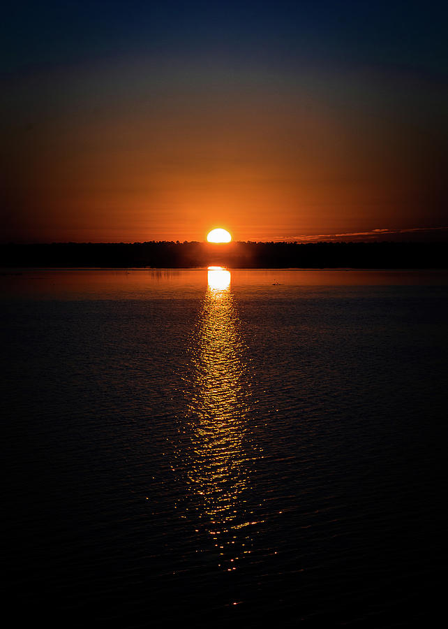 Sunspot Photograph by Mireyah Wolfe