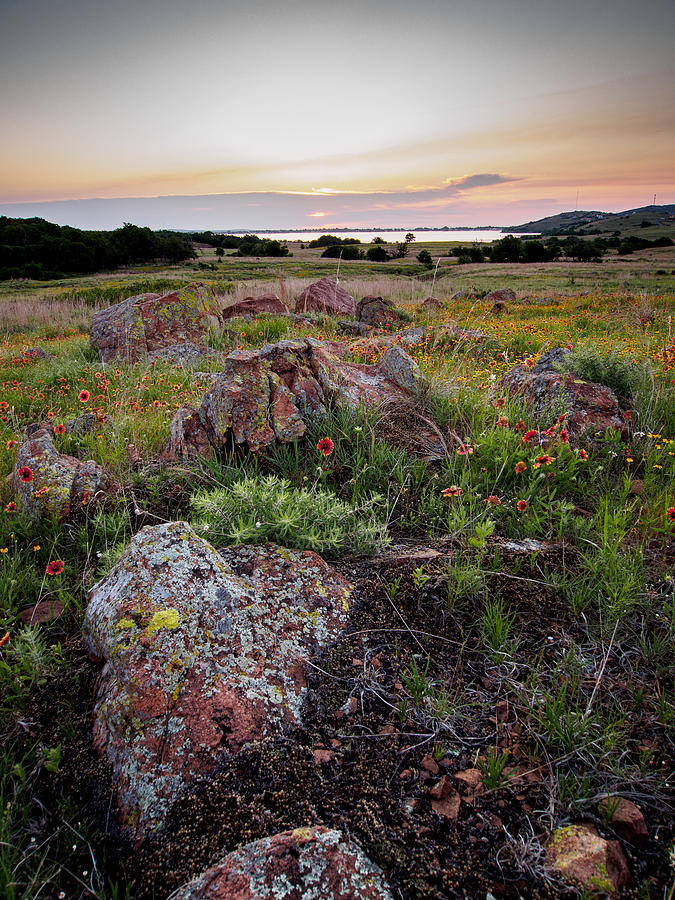 Tree Photograph - Sunup in the Wichitas by Buck Buchanan