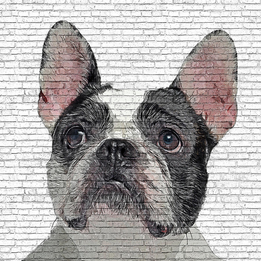 Super Adorable, French Bulldog - Brick Block Background Painting by Custom Pet Portrait Art Studio