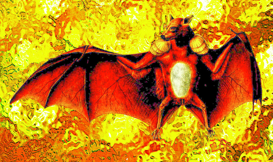 Super Bat Digital Art by Lorena Cassady