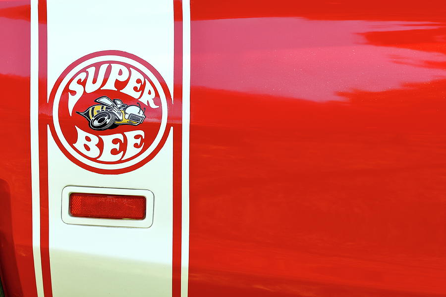 Super Bee Photograph by Lens Art Photography By Larry Trager