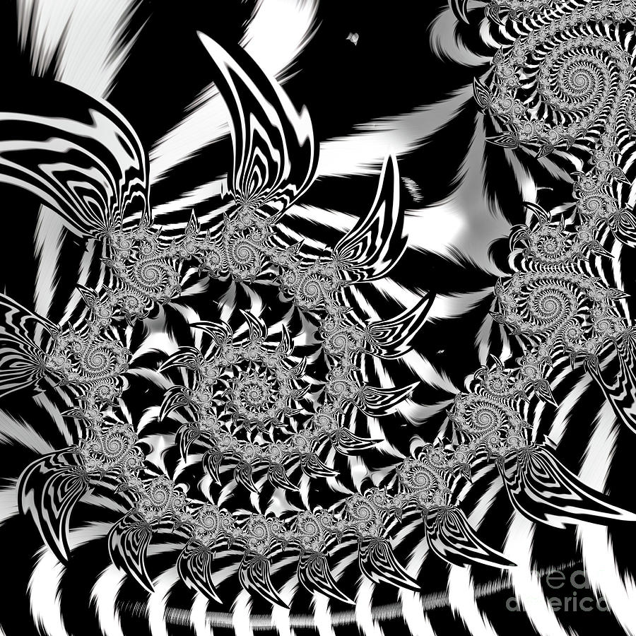 Super Black and White Spiral Square Digital Art by Elisabeth Lucas - Pixels