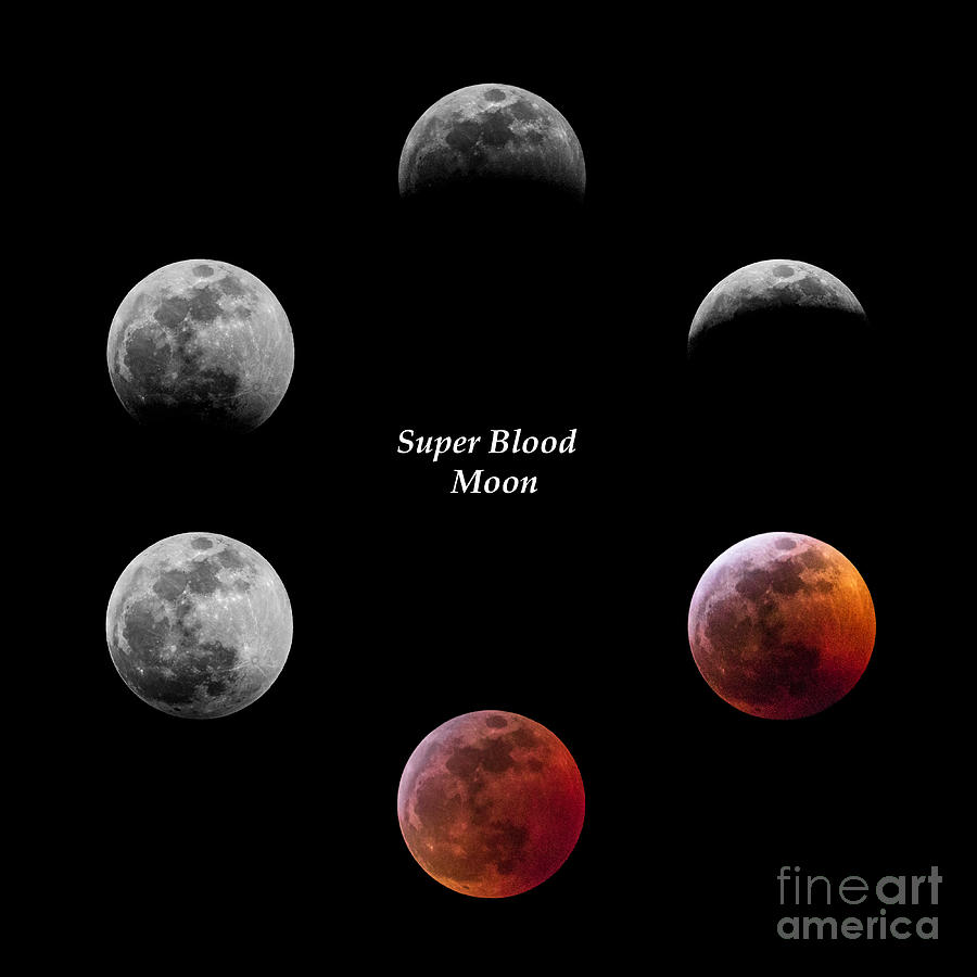 Super Blood Moon Lunar Eclipse Photograph by Gary Whitton