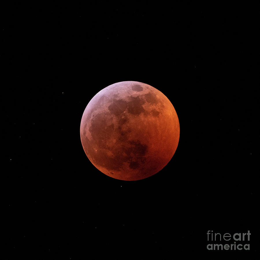 Super Blood Wolf Moon of January 20, 2019 Photograph by Nancy Gleason