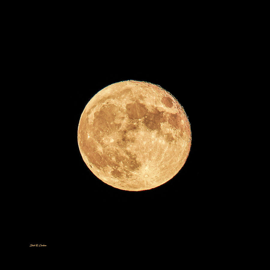 Super Blue Moon Photograph by Dale R Carlson