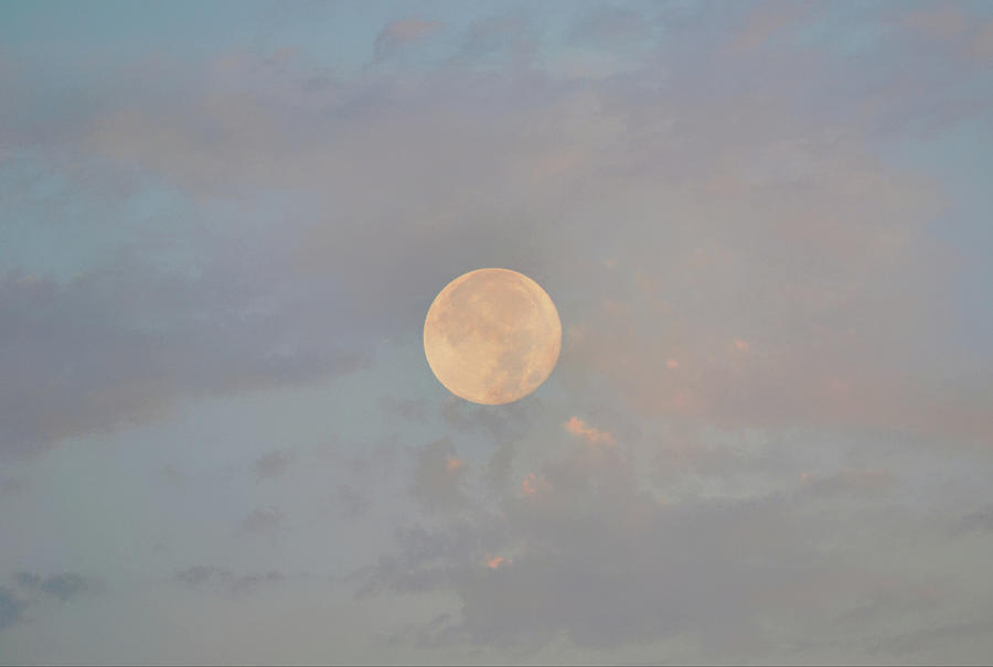 Super Buck Moon in North Texas July 2022 Photograph by Gaby Ethington