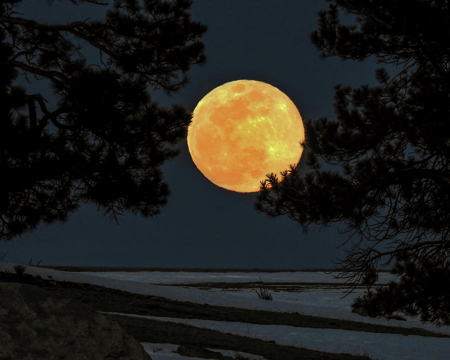 Super Equinox Moon Photograph by Dawn Key