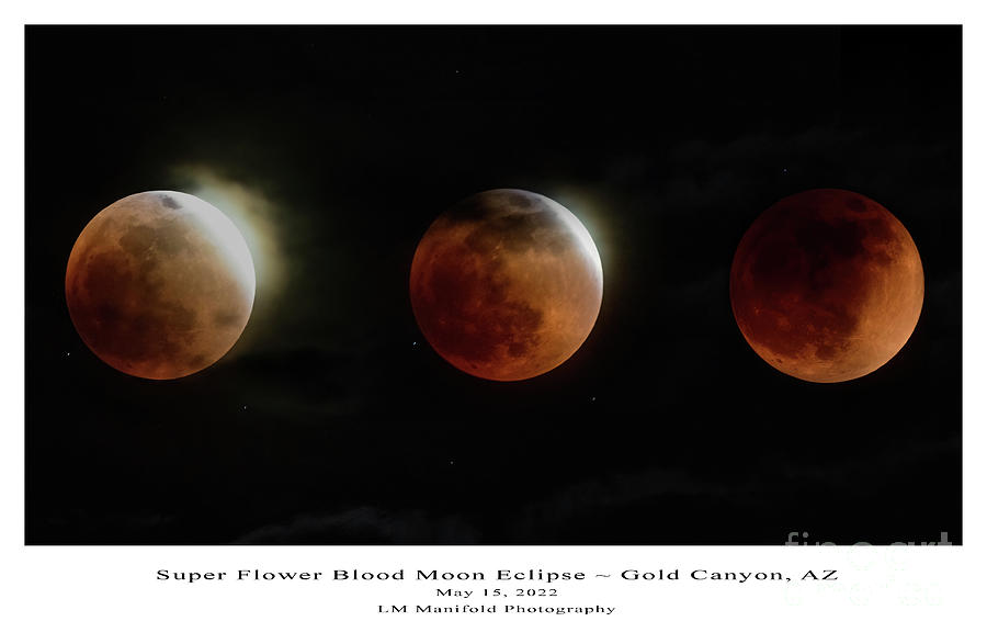 Super Flower Blood Moon Eclipse Photograph by Lisa Manifold