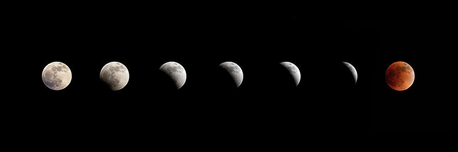 Super Flower Blood Moon Lunar Eclipse Photograph by Chuck Rasco Photography Super Flower Blood Moon Lunar Eclipse Photograph by Chuck Rasco Photography