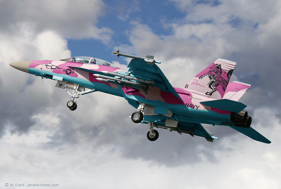 Super Hornet for the Ladies Digital Art by Custom Aviation Art