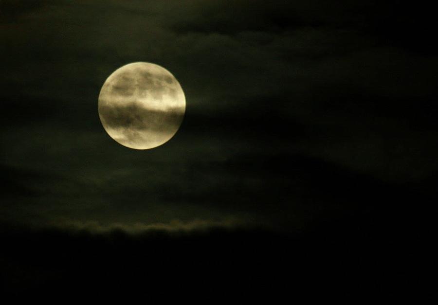 Super Moon Eclipse 2 Photograph by Brad Nellis