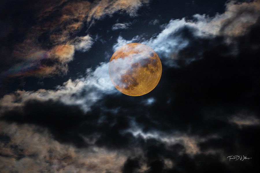 Super Moon of Summer Photograph by Theresa D Williams