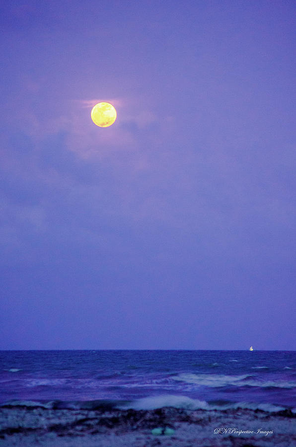 Super Moon on the Gulf Photograph by Debra Long - Fine Art America