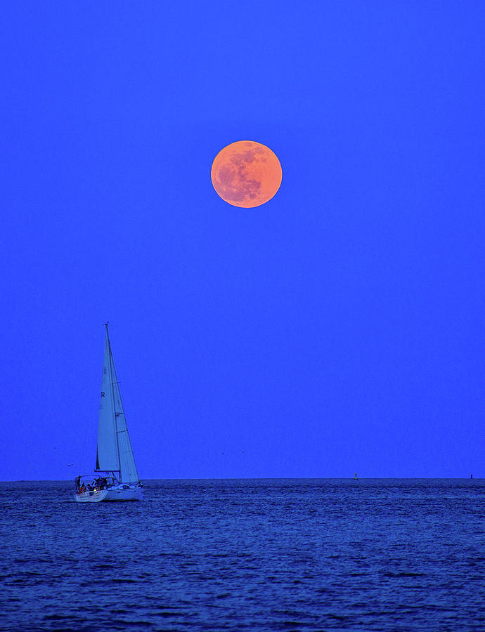 Super Moon Over Charleston Photograph by James Frazier | Fine Art America