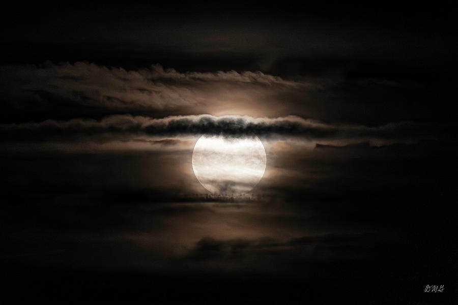 Super Moon Rising Photograph by David Gordon